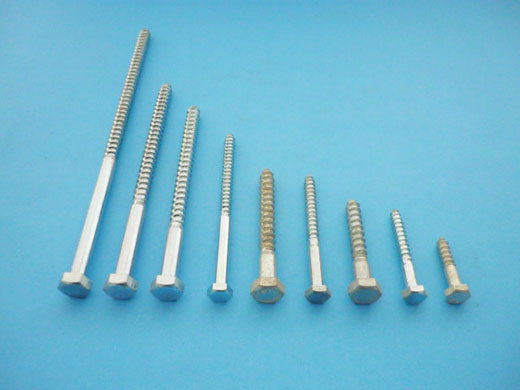 винт патентен 6х 40 ш-гр.